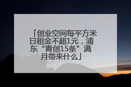 创业空间每平方米日租金不超1元，浦东“青创15条”满月带来什么