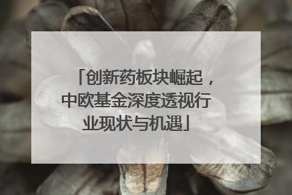 创新药板块崛起，中欧基金深度透视行业现状与机遇
