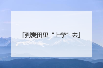 到麦田里“上学”去