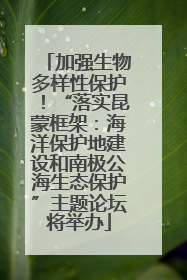 加强生物多样性保护！“落实昆蒙框架：海洋保护地建设和南极公海生态保护”主题论坛将举办