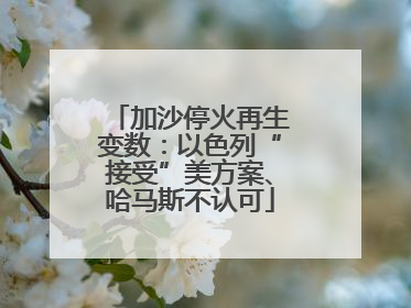 加沙停火再生变数：以色列“接受”美方案、哈马斯不认可