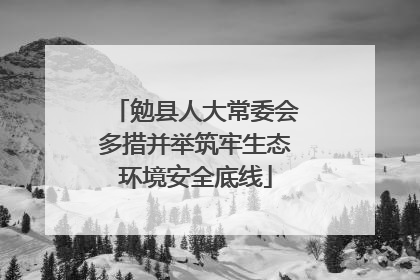 勉县人大常委会多措并举筑牢生态环境安全底线
