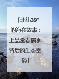 北纬39°的海参故事：上品堂春捕季背后的生态密码