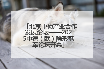 北京中德产业合作发展论坛——2025中德（欧）隐形冠军论坛开幕