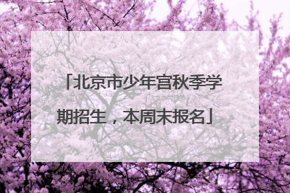 北京市少年宫秋季学期招生，本周末报名