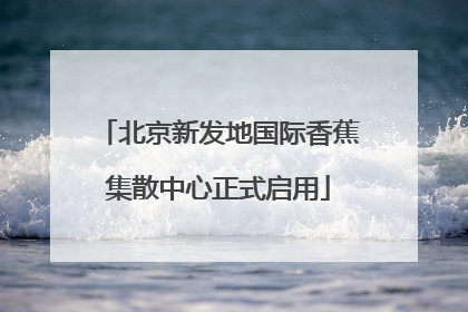 北京新发地国际香蕉集散中心正式启用