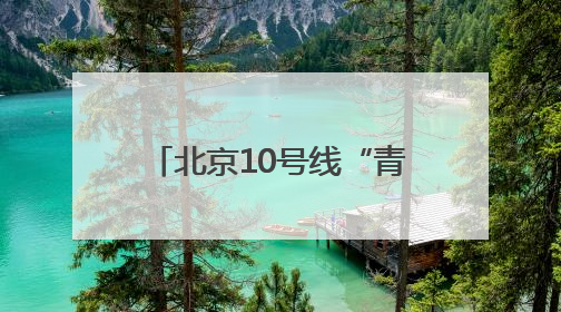 北京10号线“青创村”变身“萌宠欢乐谷” 以宠会友解锁青年社交新范式