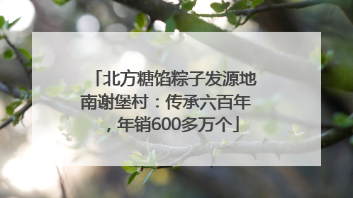 北方糖馅粽子发源地南谢堡村：传承六百年，年销600多万个