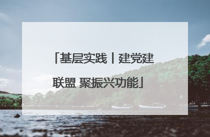 基层实践丨建党建联盟 聚振兴功能