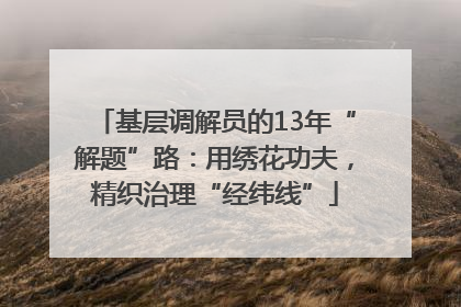基层调解员的13年“解题”路：用绣花功夫，精织治理“经纬线”