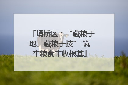 埇桥区：“藏粮于地、藏粮于技” 筑牢粮食丰收根基
