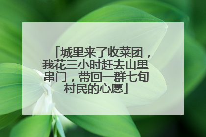 城里来了收菜团，我花三小时赶去山里串门，带回一群七旬村民的心愿