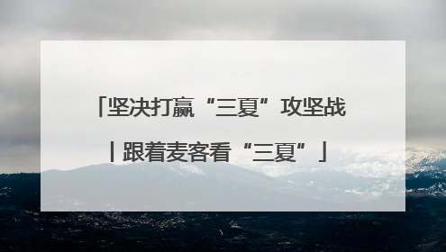 坚决打赢“三夏”攻坚战丨跟着麦客看“三夏”