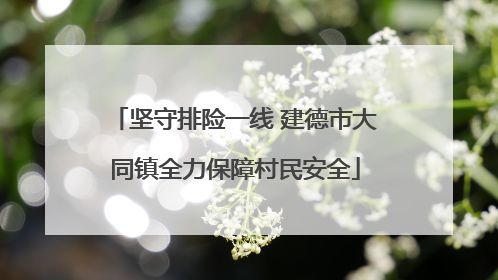 坚守排险一线 建德市大同镇全力保障村民安全