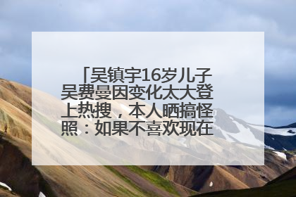 吴镇宇16岁儿子吴费曼因变化太大登上热搜，本人晒搞怪照：如果不喜欢现在的我可以离开