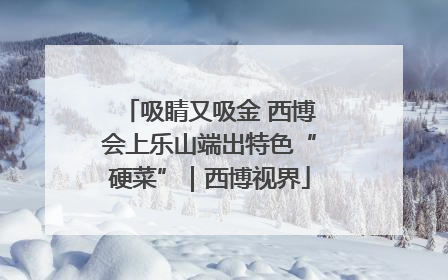 吸睛又吸金 西博会上乐山端出特色“硬菜”｜西博视界