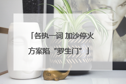 各执一词 加沙停火方案陷“罗生门”