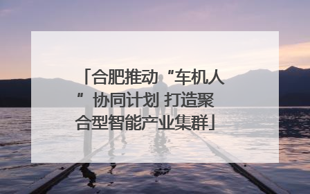 合肥推动“车机人”协同计划 打造聚合型智能产业集群