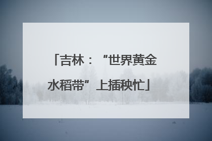 吉林：“世界黄金水稻带”上插秧忙