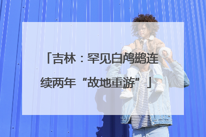 吉林：罕见白鸬鹚连续两年“故地重游”
