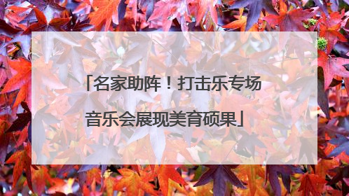 名家助阵！打击乐专场音乐会展现美育硕果