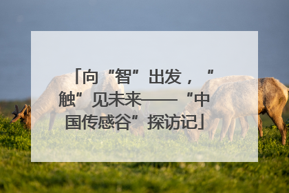 向“智”出发，“触”见未来——“中国传感谷”探访记