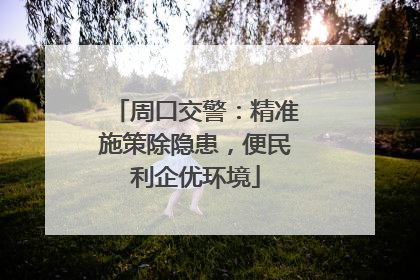 周口交警：精准施策除隐患，便民利企优环境