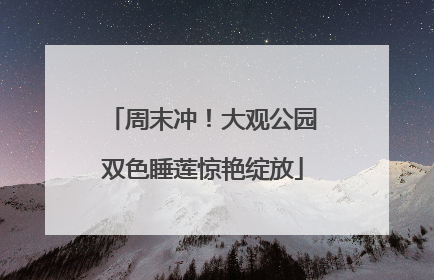 周末冲！大观公园双色睡莲惊艳绽放
