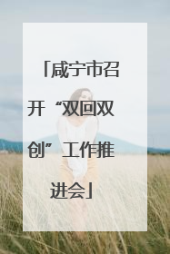 咸宁市召开“双回双创”工作推进会