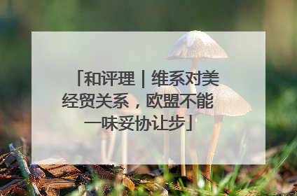 和评理｜维系对美经贸关系，欧盟不能一味妥协让步