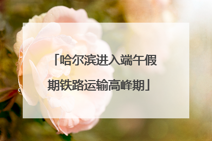 哈尔滨进入端午假期铁路运输高峰期
