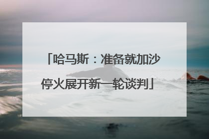 哈马斯：准备就加沙停火展开新一轮谈判