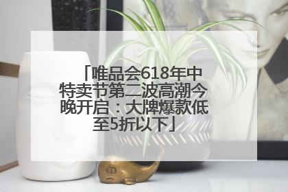 唯品会618年中特卖节第二波高潮今晚开启：大牌爆款低至5折以下