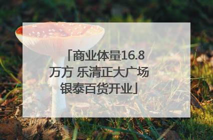 商业体量16.8万方 乐清正大广场银泰百货开业