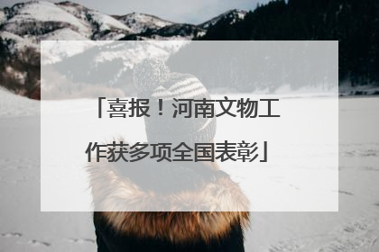 喜报！河南文物工作获多项全国表彰