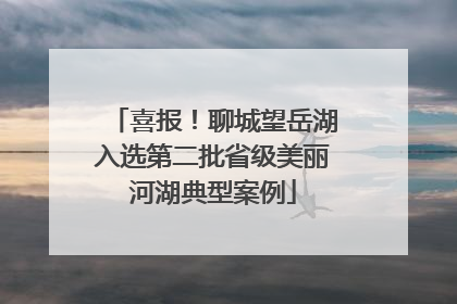 喜报！聊城望岳湖入选第二批省级美丽河湖典型案例