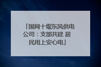 国网十堰东风供电公司：支部共建 居民用上安心电