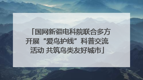 国网新疆电科院联合多方开展“爱鸟护线”科普交流活动 共筑鸟类友好城市