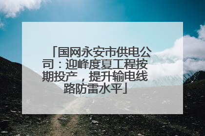 国网永安市供电公司：迎峰度夏工程按期投产，提升输电线路防雷水平