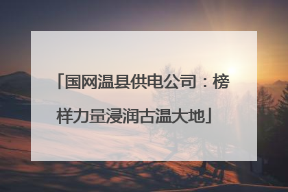 国网温县供电公司：榜样力量浸润古温大地