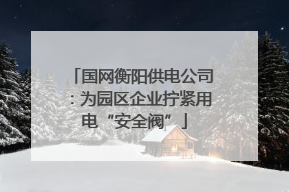 国网衡阳供电公司：为园区企业拧紧用电“安全阀”
