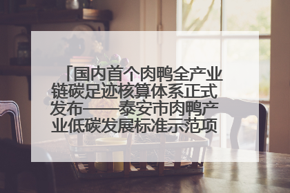 国内首个肉鸭全产业链碳足迹核算体系正式发布——泰安市肉鸭产业低碳发展标准示范项目顺利通过验收