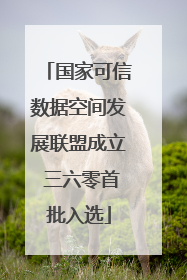 国家可信数据空间发展联盟成立 三六零首批入选