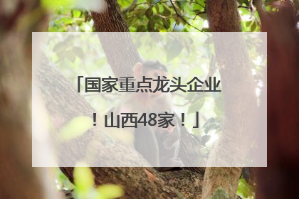 国家重点龙头企业！山西48家！