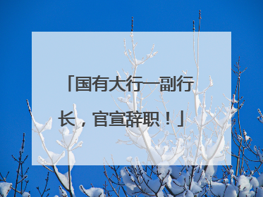 国有大行一副行长，官宣辞职！