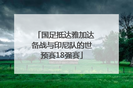 国足抵达雅加达备战与印尼队的世预赛18强赛