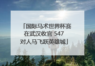 国际马术世界杯赛在武汉收官 547对人马飞跃英雄城