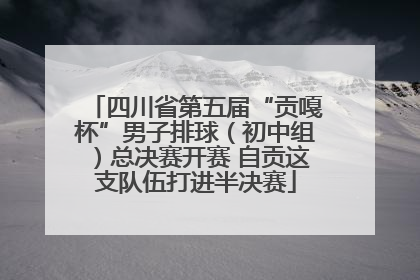 四川省第五届“贡嘎杯”男子排球（初中组）总决赛开赛 自贡这支队伍打进半决赛