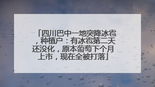 四川巴中一地突降冰雹，种植户：有冰雹第二天还没化，原本葡萄下个月上市，现在全被打落