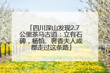 四川深山发现2.7公里茶马古道：立有石碑，杨慎、奢香夫人或都走过这条路